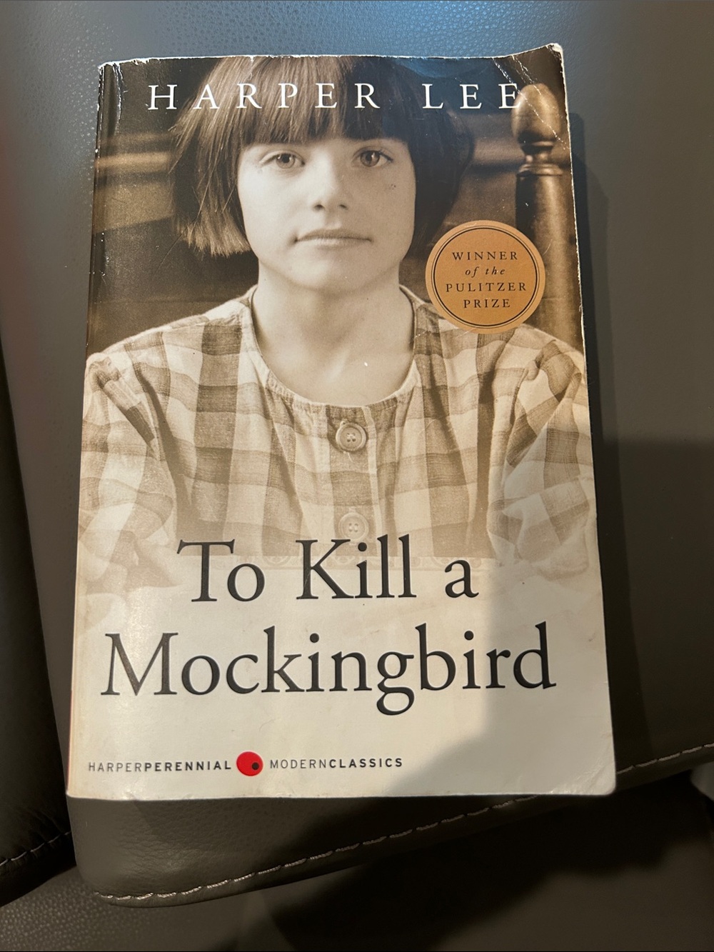 To Kill a Mockingbird-Modern Classic